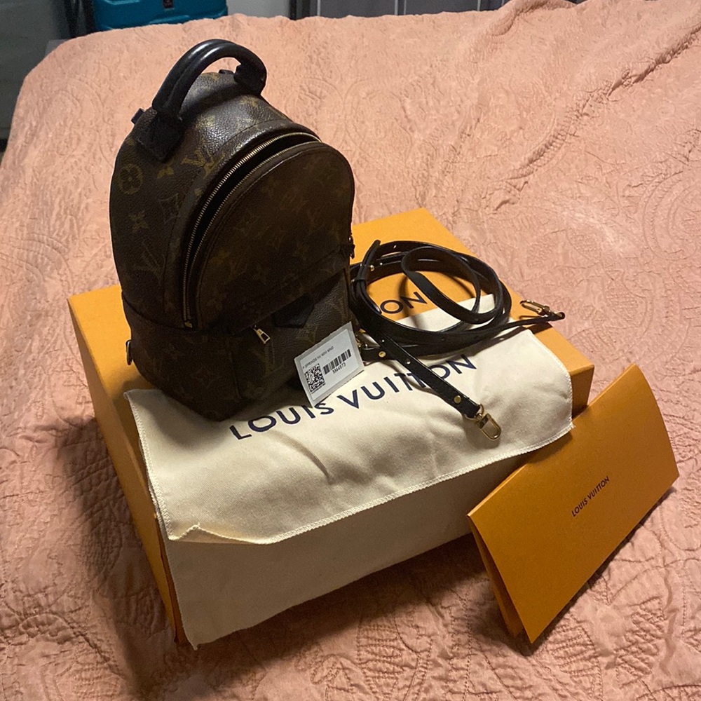 COPY - Louis Vuitton Palm Springs Mini